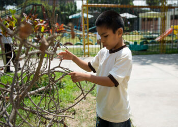 NIÑOS Y NIÑAS CON DISCAPACIDAD FRENTE A LAS SALIDAS REGULADAS APROBADAS POR EL GOBIERNO DESDE EL 18 DE MAYO
